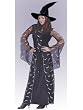 Celestial Sorceress Classic Witch Theatre Costumes