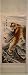 Chinese Tiger Scroll, - sumi brush painting, hand painted