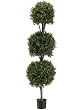 ONE 	66" Triple Ball-Shaped Boxwood Topiary in Plastic Pot Two Tone Green