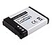 GoPro Camera AHDBT-001 HD Hero Li-ion Battery for HD Hero Camera