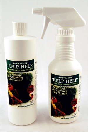 Liquid Kelp Fertilizer Concentrate - Organic - 16 Oz. Bottle Makes Over 50 Gallons of Liquid Fertilizer - Free Spray Bottle Included - All Natural & Biodegradable Liquid Sea Kelp Fertilizer Increases Seed Germination Time, Plant Quality & Yeild, Contains Over 70 Nutrients & Essential Trace Minerals. Perfect for Indoor, Outdoor & Hydroponic Gardening: Plants, Flowers, Wheatgrass, Sprouts & Sprouting.