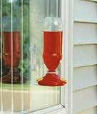Soda Bottle Window Hummingbird Feeder, set of 12