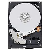 Western Digital 250 GB AV PATA 7200 RPM 8 MB Cache Bulk/OEM AV Hard Drive WD2500AVJB
