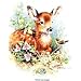 Fawn-Deer Youth Sweatshirt