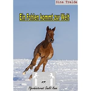 Ein Fohlen kommt zur Welt (Pferdeinternat Sankt Anna 29)