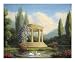 Garden with Swans and Gazebo Decorative Art Poster Print by Tim Ashkar, 22x19 Image