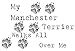 My Manchester Terrier Walks All Over Me Apron