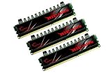Brason Enterprises提供 Electronics&Photo Online Shop Ranking 25. G.Skill Ripjaws - Memory - 6 GB : 3 x 2 GB - DIMM 240-pin - DDR3 - 2000 MHz / PC3-16000 - CL9 - 1.6 V - unbuffered - non-ECC