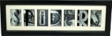 "Spiders" Framed Art
