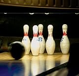 Bowling Alley Complete Start Up Business Plan NEW 2008!