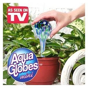 Aqua Globes Mini- Set of 3