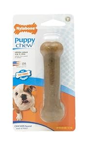 Nylabone Puppy Chew for Teething Puppies, Regular