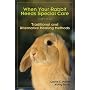 When Your Rabbit Needs Special Care: Traditional and Alternative Healing Methods