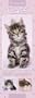 Official Rachel Hale Cats 2010 Slim Calendar