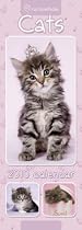 Official Rachel Hale Cats 2010 Slim Calendar