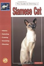 Guide to Owning a Siamese Cat