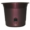 Apollo Plastics E010-CABERNET 10-Inch Self Watering Planter, Cabernet