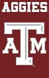 NCAA Texas A & M Aggies Banner