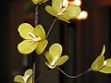 All Natural Handmade Shirin Flower, Green