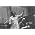 Vignette de Andre Previn