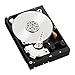 WESTERN DIGITAL WD Blue WD10EZEX 1 TB 3.5" Internal Hard Drive / WD10EZEX /