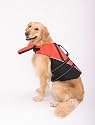 Flotation Jacket for Dogs w/ Removable Flap Medium