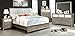 Furniture of America Nilean Contemporary Nightstand, Silver