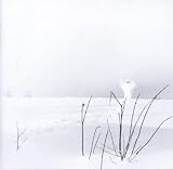 In Frostigen Tälern