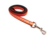 Medium Reflective Orange Dog Leash: 3/4" wide, 6ft length.,-1
