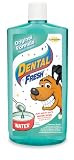 Synergy Dental Fresh Dog, 17 Ounce