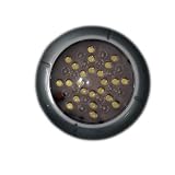 12V LED Light Interior Bus, RV, Truck Dome Light 5.5 by Global Parts