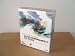 Macromedia Authorware 5.0 Attain for Windows