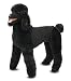 Melissa & Doug Standard Poodle - Plush