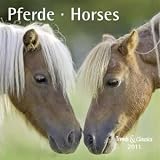 Pferde 2011. Trends & Classics Kalender