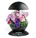 AeroGarden 3 Black w/Cascading Petunias Seed Kit by AeroGrow
