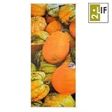 Produkt-Bild: Textil Poster Pumpkin 75 cm x 180cm