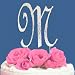 Fully Covered in Crystal Monogram Wedding Cake Topper Letter - Letter M