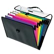 Pendaflex Desk Free Hanging Organizer With Case, Letter Size, Black Assorted, 1 Each (52891)