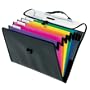 Pendaflex Desk Free Hanging Organizer, Letter Size, Black Assorted, 1 Each (52891)