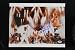 Signed King Picture - Michael Jackson The Of Pop 11x14 Psa dna #f93030 - Autographed NFL Photos