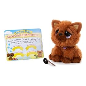 Rescue Pets Chow Dog