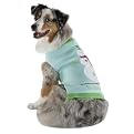 Holiday Pet Sweater - Aqua