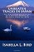 Unbeaten Tracks in Japan: The Firsthand Experiences of a British Woman in Outback Japan in 1878