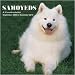 Samoyeds 2010 Wall Calendar