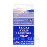 Blue Sticky Traps - 15 pack