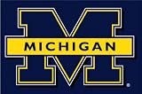 Michigan Wolverines 39x59 Acrylic Tufted Rug