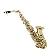 Cecilio 2Series Gold Lacquer Brass Alto Saxophone w/ Carrying Case and Accessories
