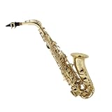 Cecilio 2Series Gold Lacquer Brass Alto Saxophone w / Carrying Case and Accessories - B00157NC2K
