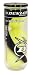 Dunlop Sports Tennis Practice 3 Ball Can