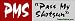 PMS-pass my shotgun - funny bumper stickers (Medium)